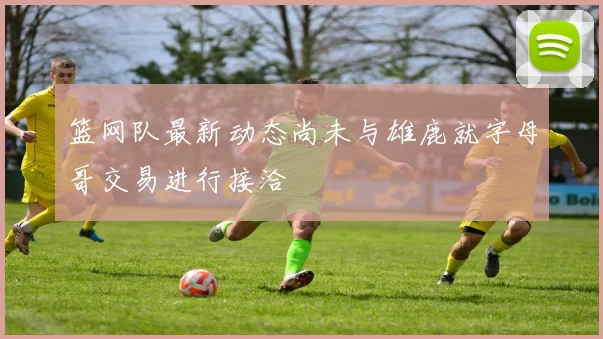 篮网队最新动态尚未与雄鹿就字母哥交易进行接洽