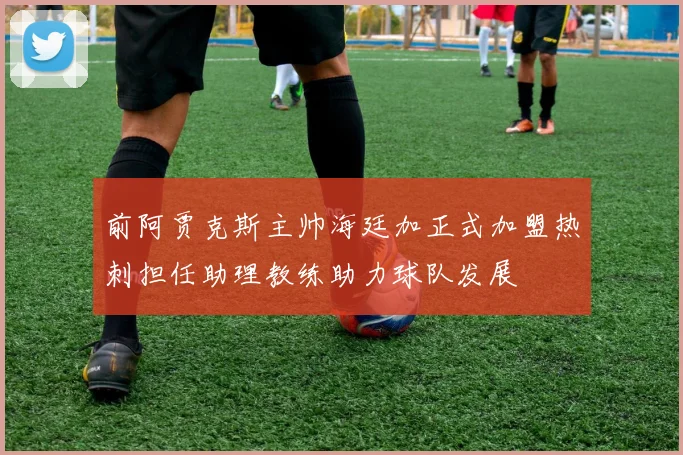 前阿贾克斯主帅海廷加正式加盟热刺担任助理教练助力球队发展