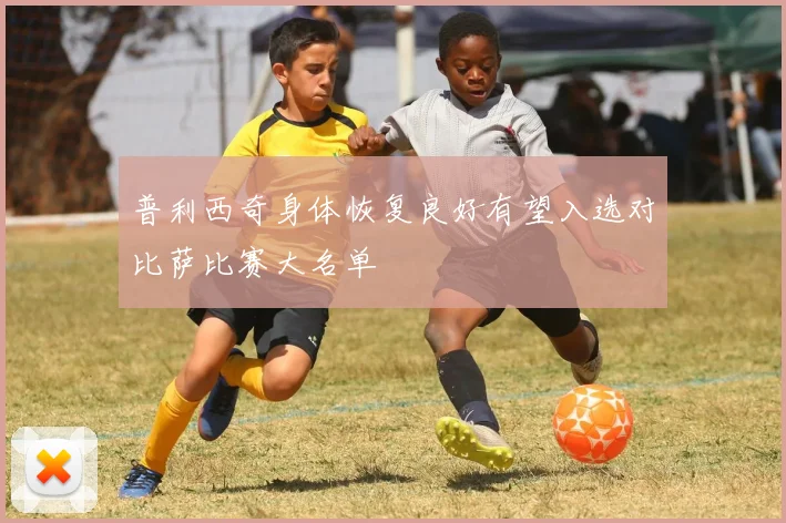 普利西奇身体恢复良好有望入选对比萨比赛大名单